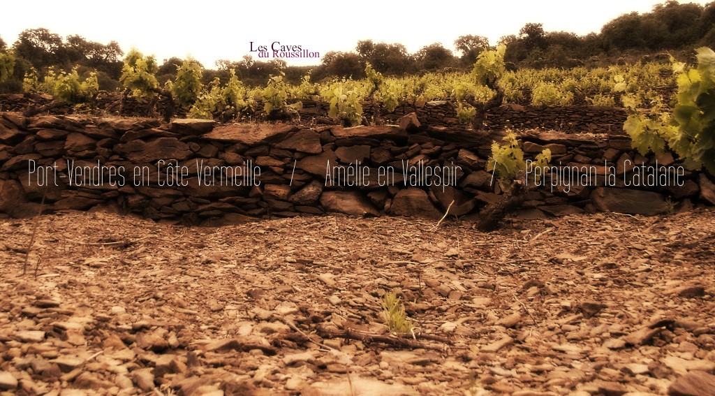 Les Caves du Roussillon